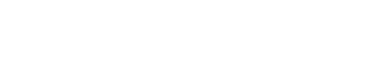 NordPass Logo